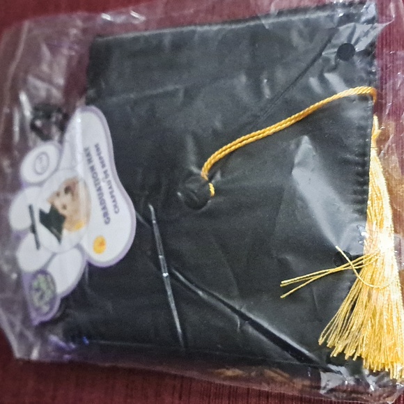 Graduation Bundle - Dog Cap, Corgi Placque & Tossing/Talking Plush - Picture 10 of 12